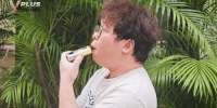 GIF3 GIF3